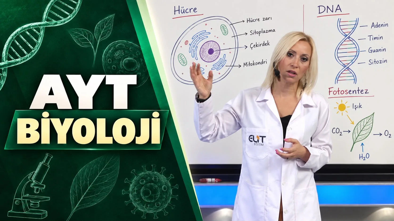 AYT Biyoloji Eğitim Seti