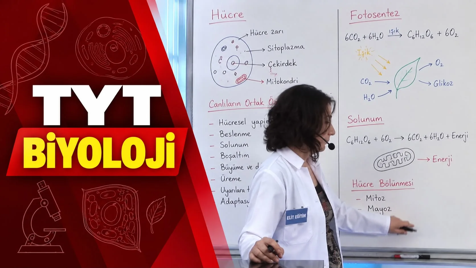 TYT Biyoloji Eğitim Seti