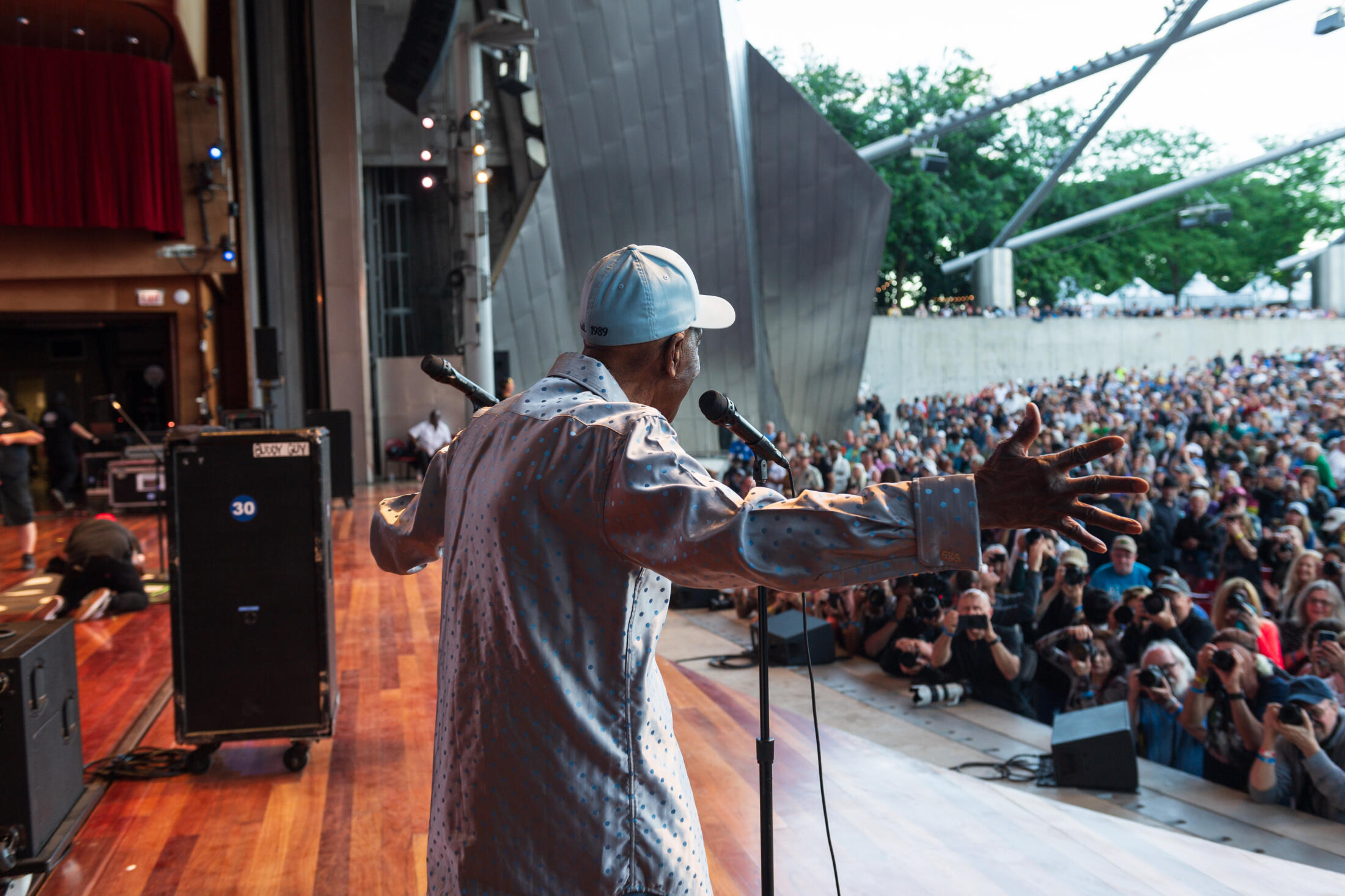 Chicago Blues Festival Jazz & Blues festival
