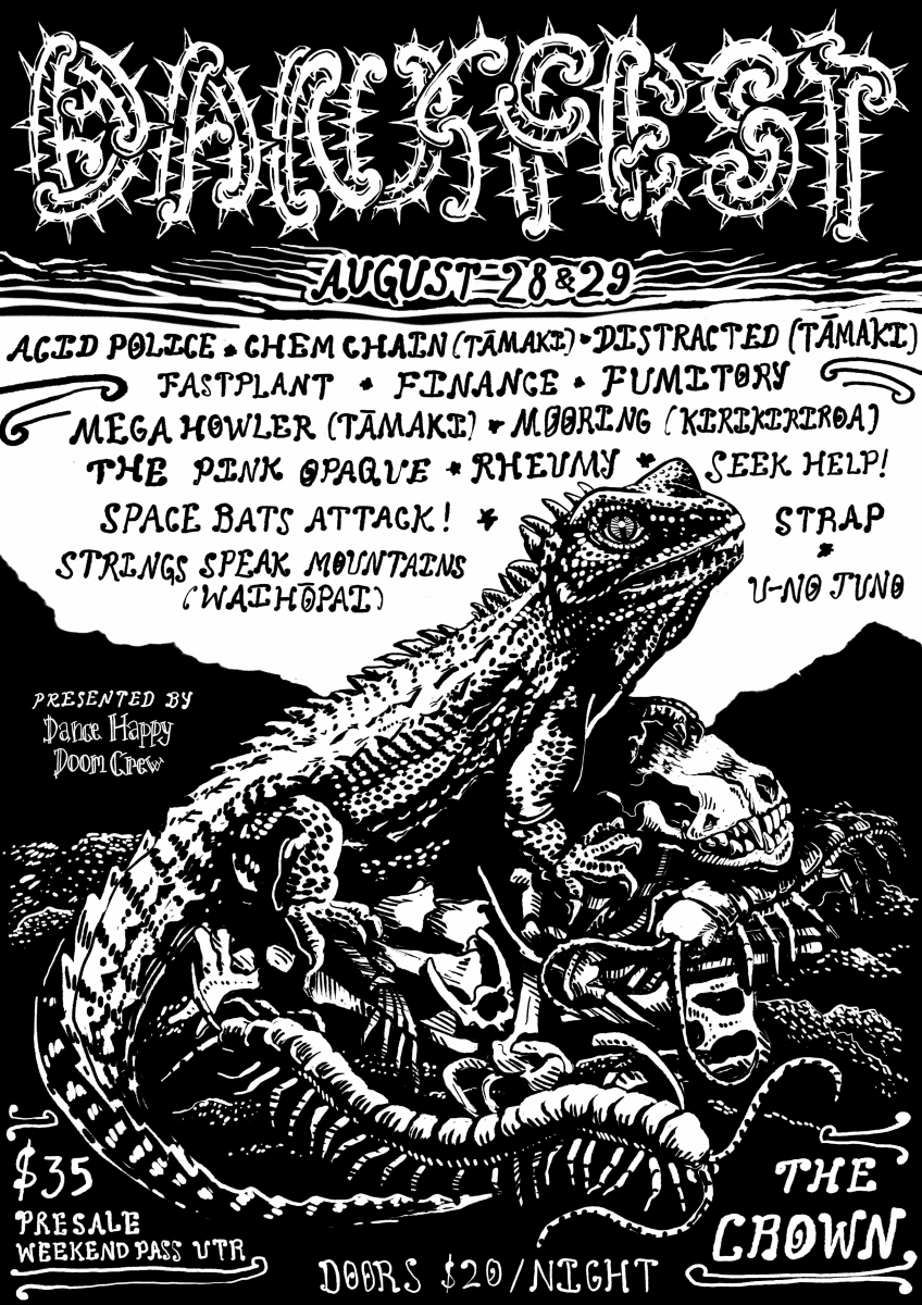 Dankfest music festival in New Zealand