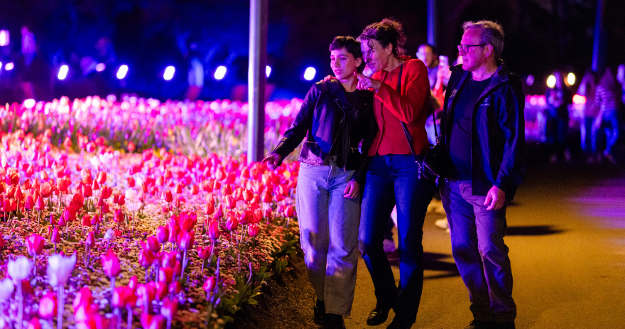 Floriade Night Fest