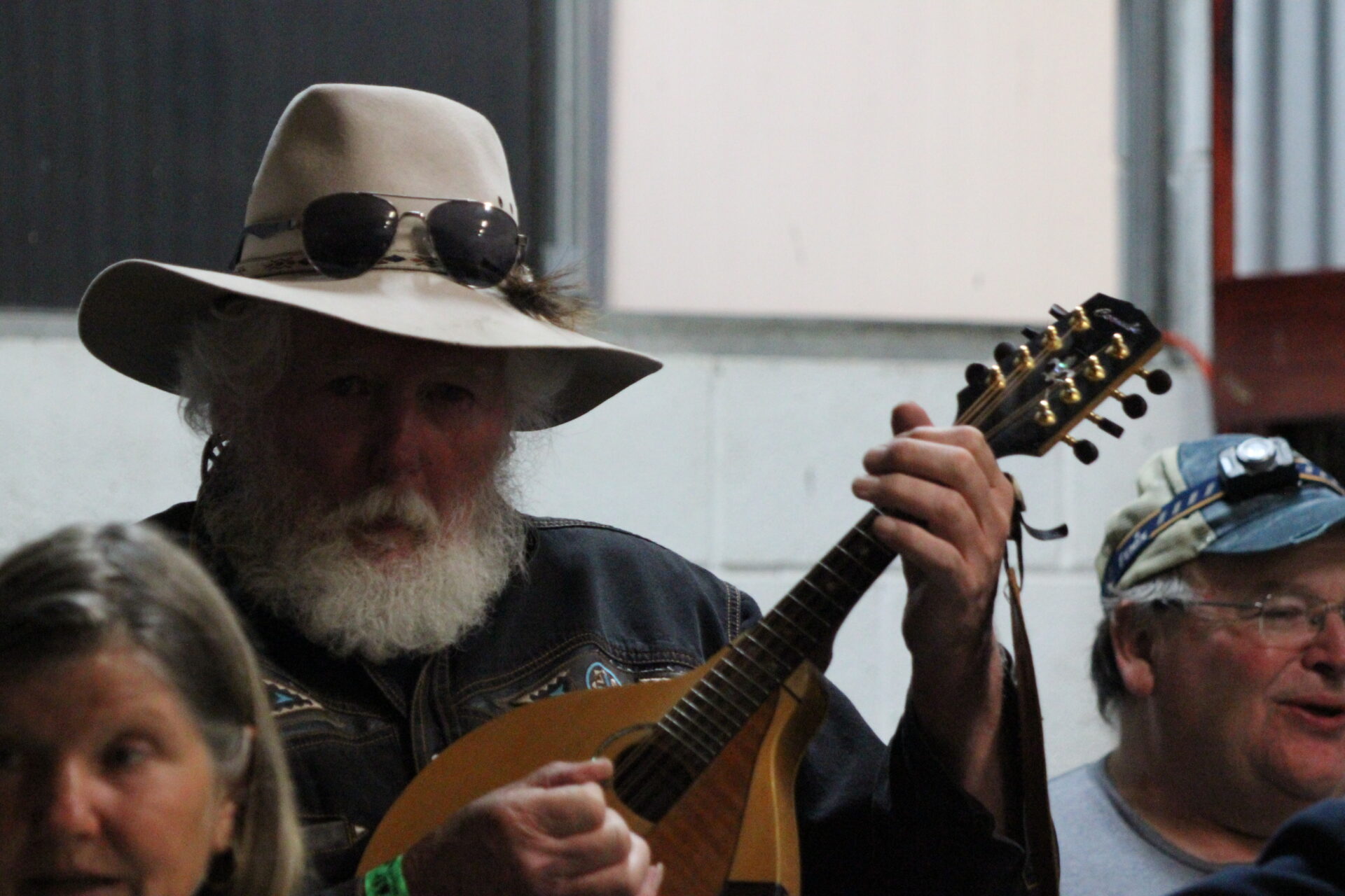 Sandford Bush Music Festival