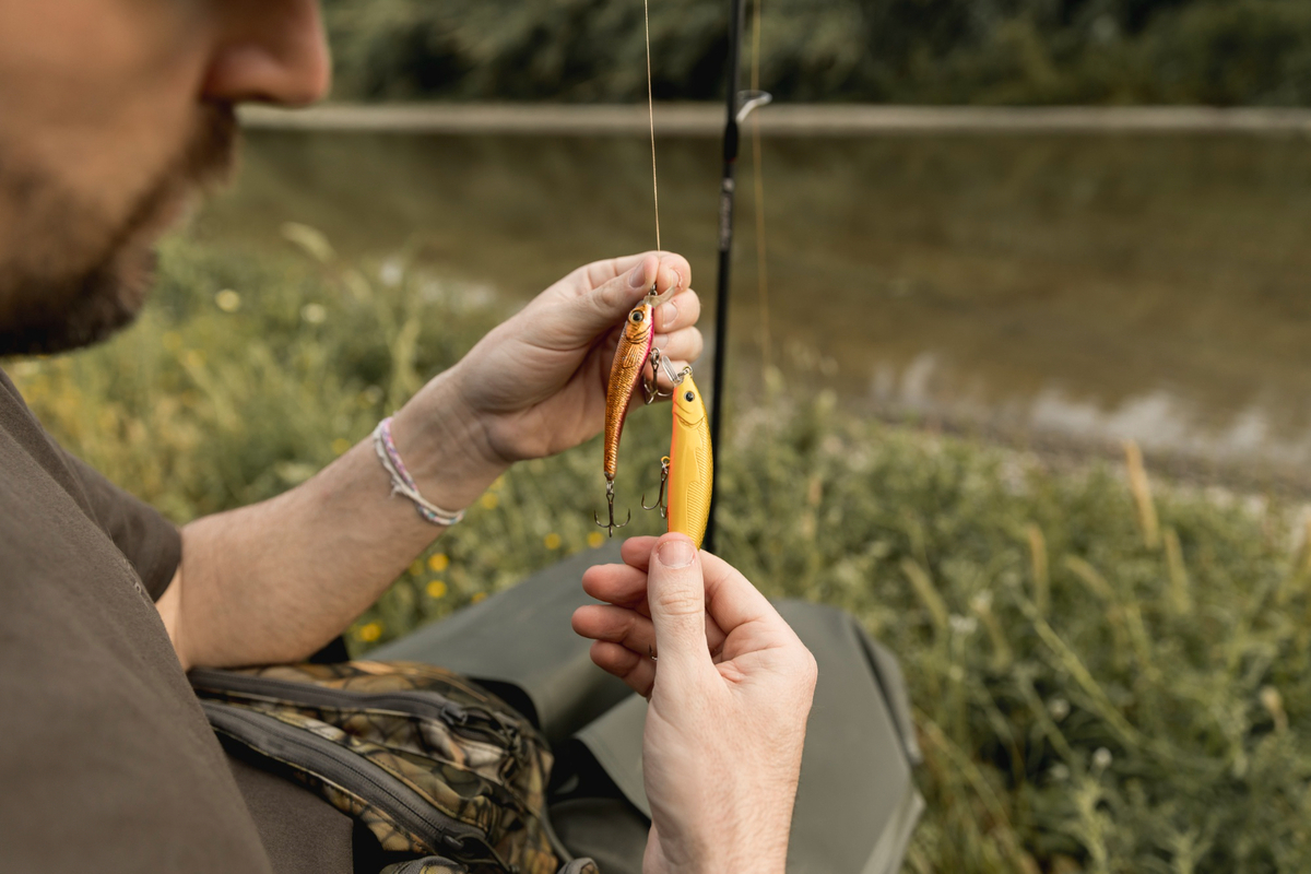 Fishing for Beginners