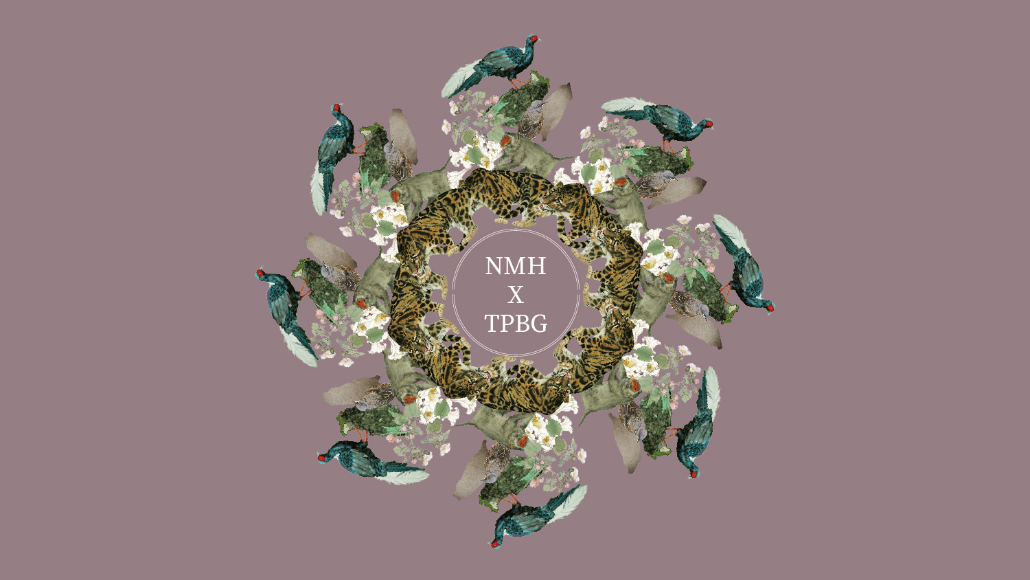 創造水墨畫與空間的對話