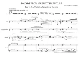 Sounds From An Electric Nature