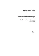 Promenade électronique 