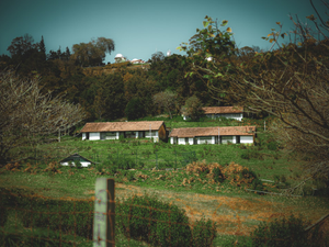 a house on a hill surrounded by trees