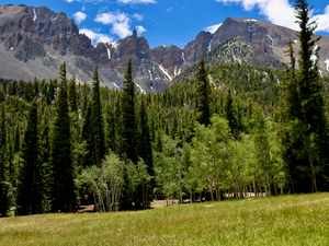 a grassy field with trees and mountains in the background