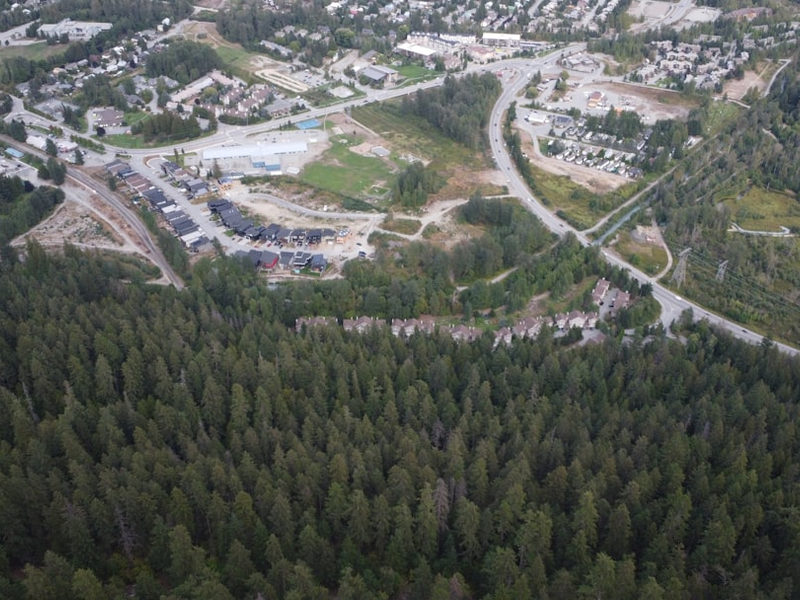 An aerial view of a city surrounded by trees