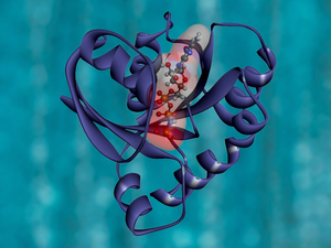 KRAS Protein Structure. RAS is a family of related proteins that is expressed in all animals. KRAS is one of three RAS genes found in humans. RAS genes are mutated in approximately one-third of all human cancers.