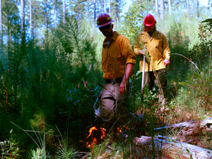 Controlled burn at my community college for class