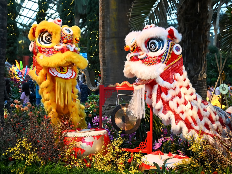 Lion dance display at Gardens by the Bay, Singapore, to welcome Lunar New Year 2024.