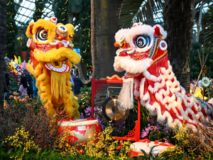 Lion dance display at Gardens by the Bay, Singapore, to welcome Lunar New Year 2024.