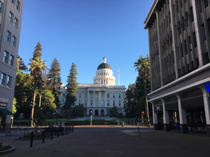 A view of the capitol building from across the street