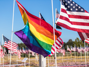 FlagsSM_A59I1216