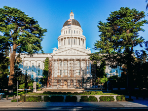 State Capital by Oscar Ochoa Jr