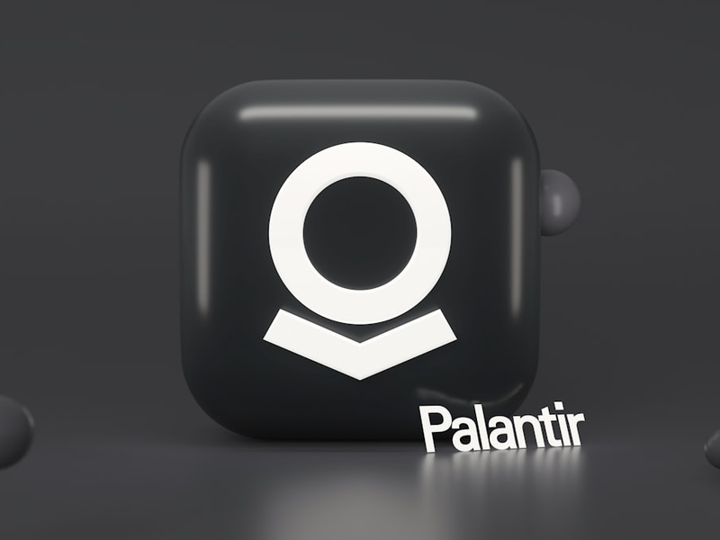 Palantir 3D logo. Feel free to contact me through email mariia.shalabaieva@gmail.com. Check out my previous collections “Top Cryptocurrencies”, "Elon Musk" and other 3D images!