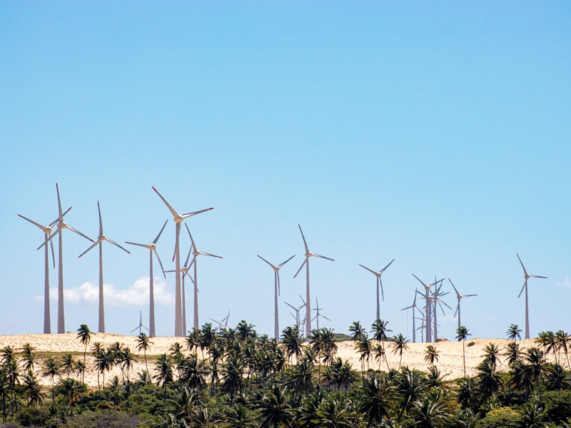 wind turbines on green grass field under blue sky during daytime
