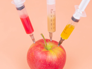 Syringes with different chemicals injections into a red apple on an orange background. GMO. Chemistry. Poison. Fruits. Place for an inscription. The close plan. Drugs.