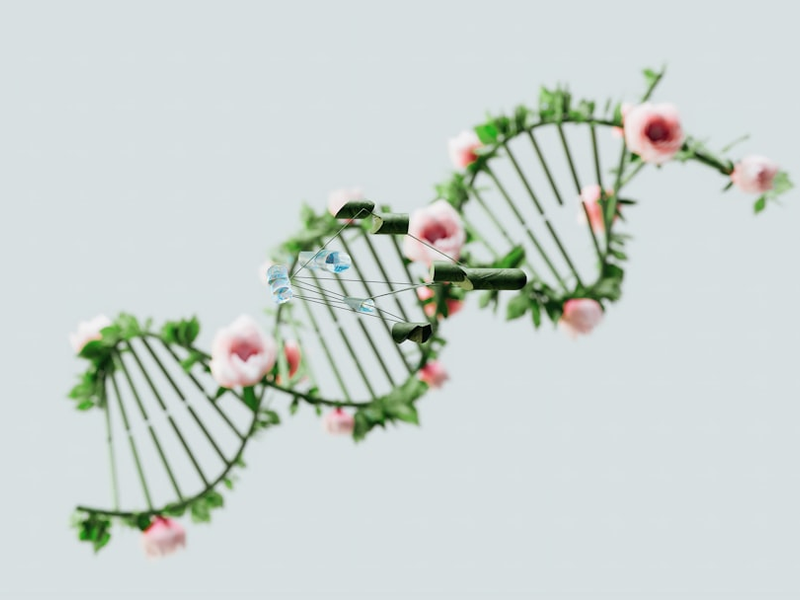 An artist’s illustration of artificial intelligence (AI). This image depicts how AI could assist in genomic studies and its applications. It was created by artist Nidia Dias as part of the Visualising AI project launched by Google DeepMind.