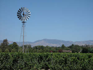 Farm windmill in the Owens Valley, California