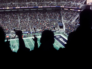 a crowd of people watching a football game