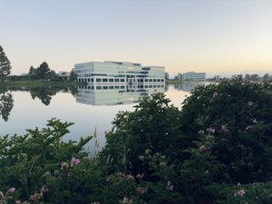 Redwood Shores Lagoon