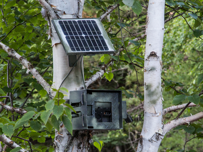 Border Patrol Surveillance Camera (37383454390)