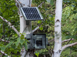 Border Patrol Surveillance Camera (37383454390)