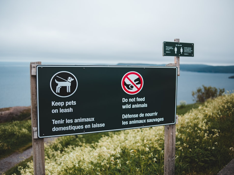 a sign on the side of a road near a body of water