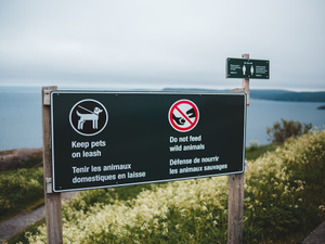 a sign on the side of a road near a body of water