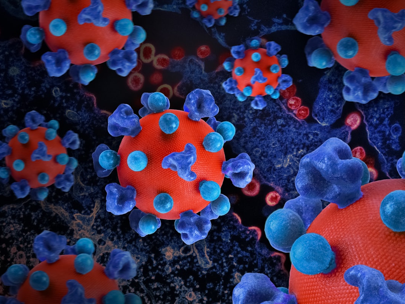 HIV Virus Creative artwork featuring colorized 3D prints of HIV virus particles. The virus surface of the prints (red) is covered with proteins (dark blue) that enable the virus to enter and infect human cells, and additional proteins (teal spheres) that disguise the virus from the immune system. A colorized transmission electron micrograph (TEM) of HIV virus particles (red) budding and replicating from an H9 T cell (blue) appears in the background. Credit: NIAID https://www.flickr.com/photos/niaid/52536527476/