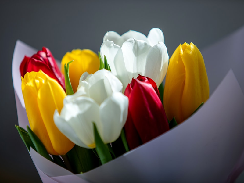 A colorful bouquet of tulips wrapped in paper