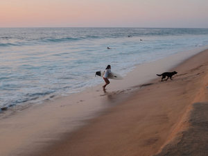 a person with a surfboard and a dog on a beach