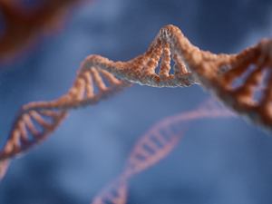 3D rendering capturing the double helix structure of DNA against a blue backdrop, highlighting the intricate beauty of life's genetic code.