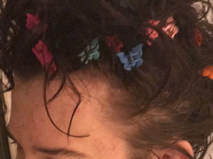 Butterfly hair clips