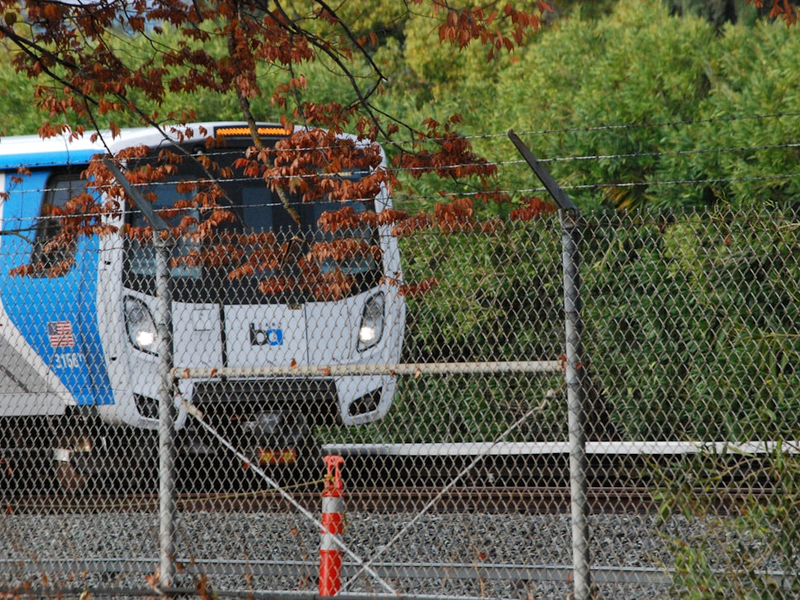 a blue and white train traveling down train tracks