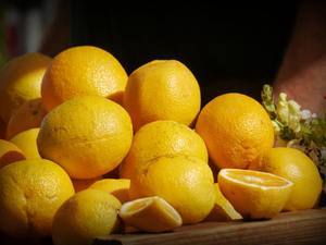 Scenes from the Walnut Creek Farmers Marker