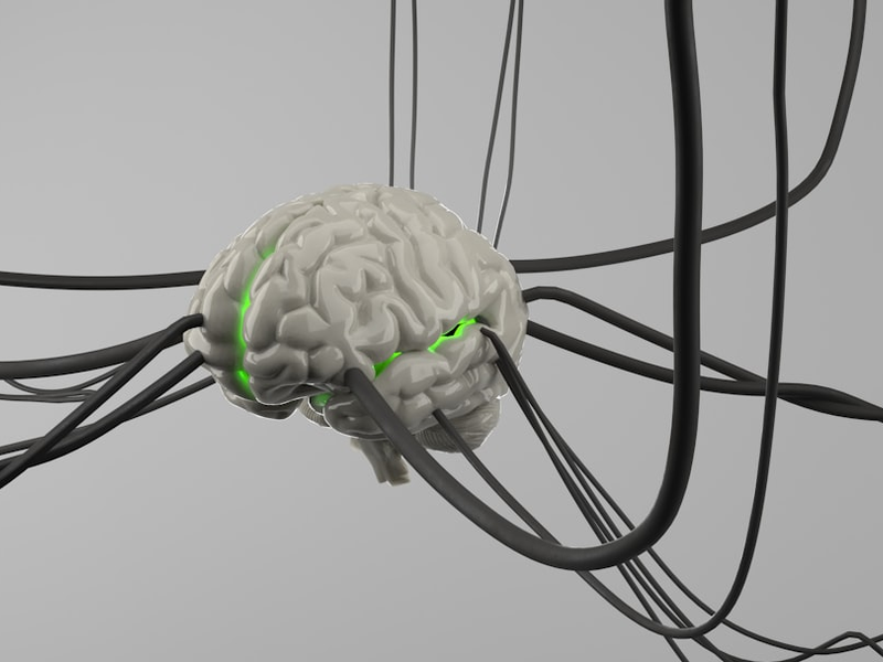 Brain wire