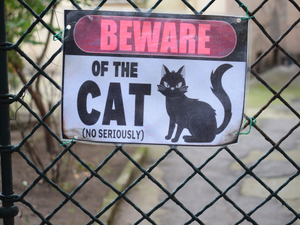 A sign on a fence that says beware of the cat