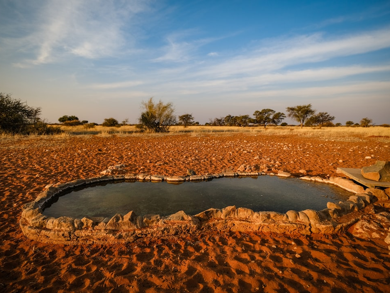 a small pool of water in the middle of the desert