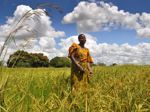 4. Sustainable food for all