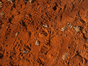 Shoe tracks at the bottom of an ochre quarry.