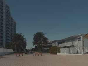 A sandy beach next to tall buildings and palm trees