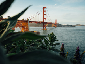 Golden Gate bridge at golden hour