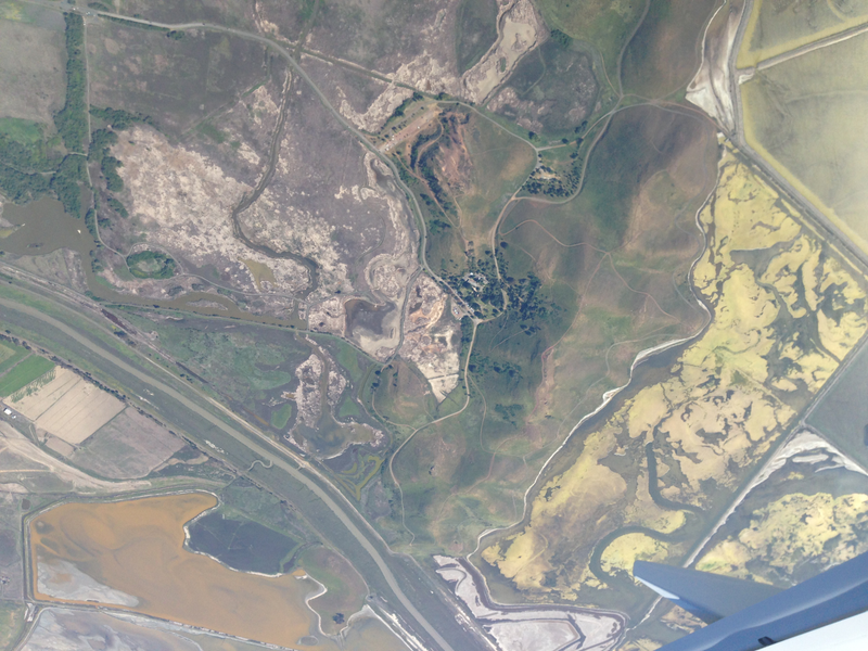 SF Bay Area wetlands