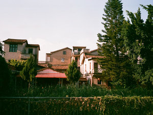 Buildings nestled among lush green trees and foliage.