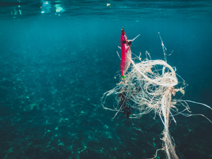 Discarded Fishing Line in the Ocean