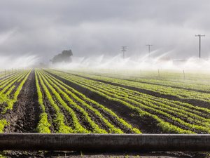 a foggy day in a farm field with sprinklers