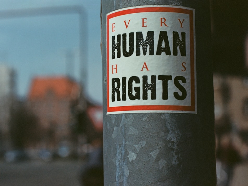 EVERY HUMAN HAS RIGHTS. Urban street art sticker. Leica R7 (1994), Summilux-R 1.4 50mm (1983). Hi-Res analog scan by www.totallyinfocus.com – Kodak Ektar 100